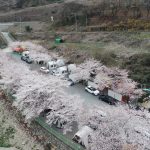 밀양 패밀리 캠핑장