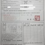 바인스버그 390QD 카라반