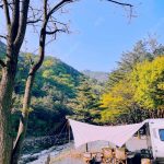 예쁜 카라반 판매