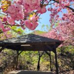 미산가족오토캠핑장