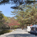 에어 카라반 히트