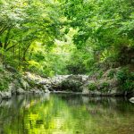 007흥정계곡 반딧불 오토캠핑장