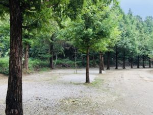 부림오토캠핑장