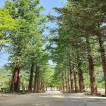 스노우라인 캠핑빌리지