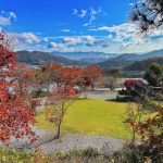 씨엘로 캠핑장 (운악산 포도 캠핑장)