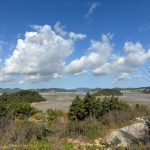 가로림만 라모스 캠핑장