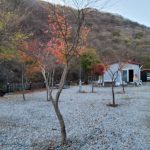 가마골계곡 핫캠핑장&트레일러