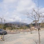 고라니 오토캠핑장