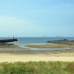 곰섬 킹콩솔숲캠핑장