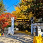 금원수목원 수영장