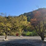 덕동히든밸리캠프펜션