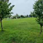 땅에미소캠핑장