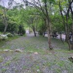 모야의숲 캠핑장