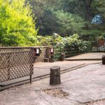 반달곰이살던숲