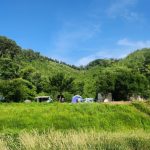 섬강두꺼비오토캠핑장