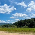 아트인아일랜드