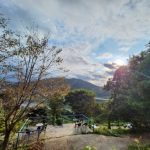 양평 약수동산 캠핑장