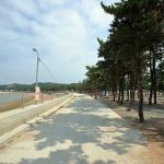 어은돌 은하수 오토캠핑장