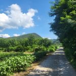 연천 아미골캠핑장,펜션