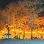 영월가자 펜션&캠핑장