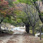 옥당걸 숲속 관광 농원