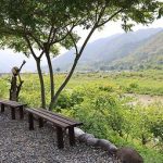 외룡송어회캠핑장