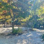 정원펜션캠핑장