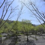 지리산천왕봉캠핑장