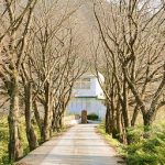 징검다리연구소