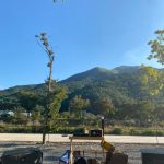 청도 늘푸른캠핑장