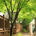 청주 낭추골캠핑장