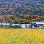 포레스트캐빈&캠프