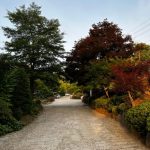 포천 광릉솔개캠핑장