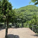 함안 드윌연수원 캠핑