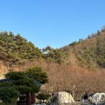 행화촌자연테마파크캠핑장