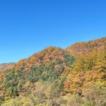 횡성 태기산 별밤오토캠핑장