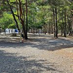 월악파인오토캠핑장