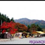 가평 포도밸리 캠핑장