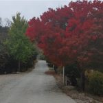 쌍계곡캠핑&민박