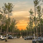 스테이더딜라잇 가든캠핑장