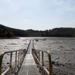 나로우주캠핑장 (구)동포갯벌체험장