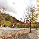 가평 홀리데이캠핑장