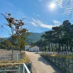 초록여울캠핑장