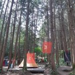 장성 편백힐 치유의숲