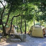 영월 느티나무쉼터 캠핑장