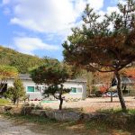 포천그린별캠핑장