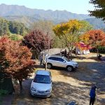 가평 사과나무캠핑장