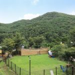 트리독스 애견캠핑장