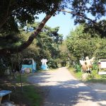 화성 산들래캠핑장