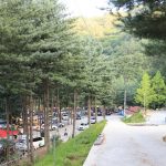 사랑나무캠핑장